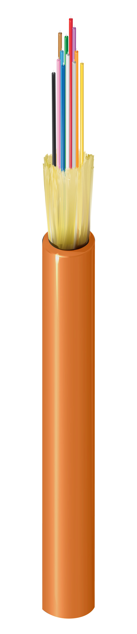 FI1D012R9