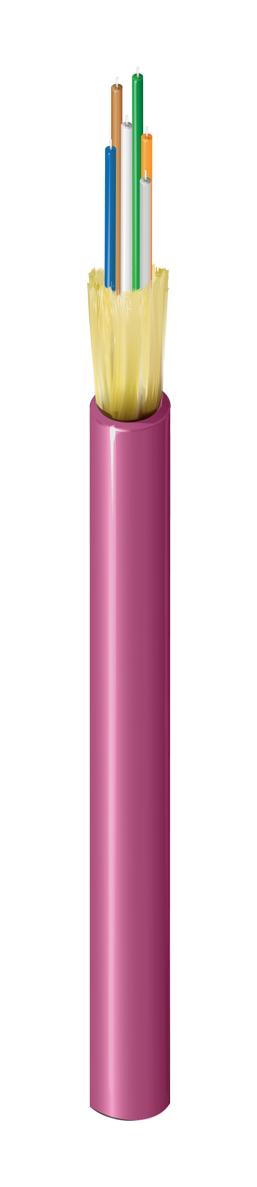 FI4D006P9