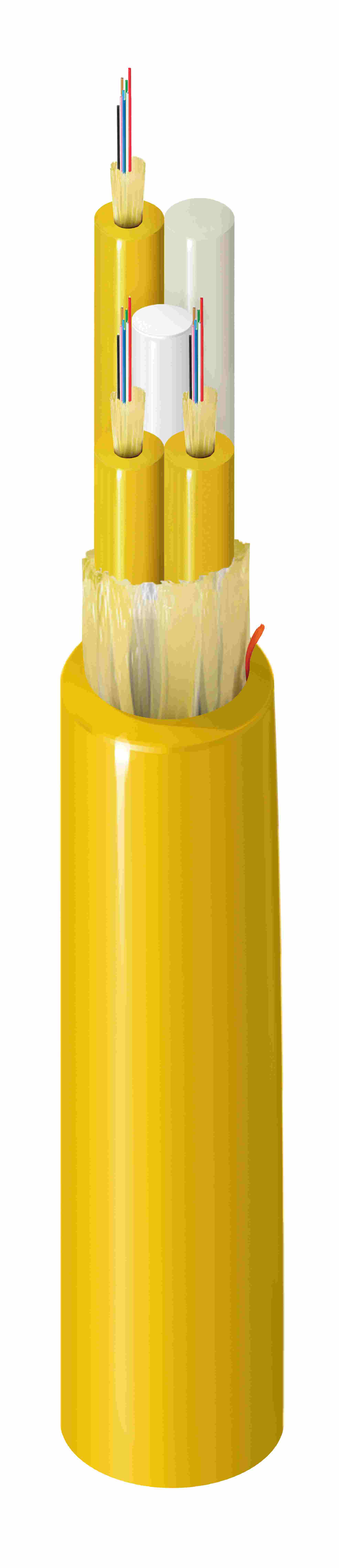 FIBM024P8
