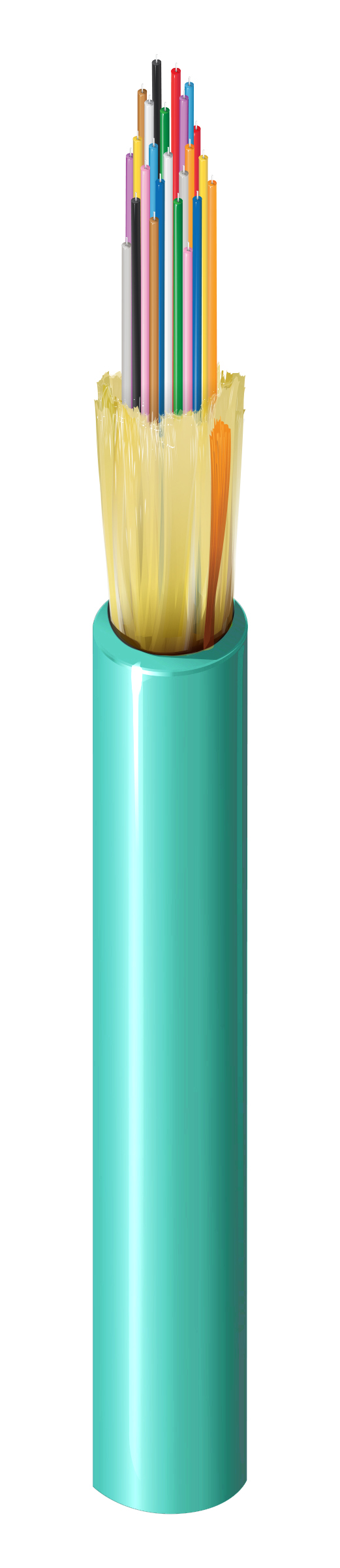 FI4D024R9A