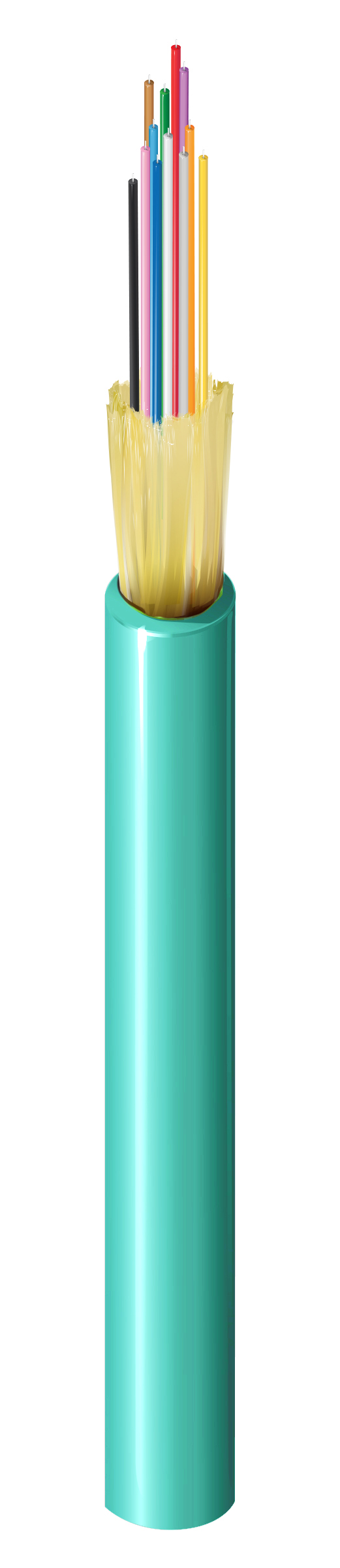 FI3D012P9