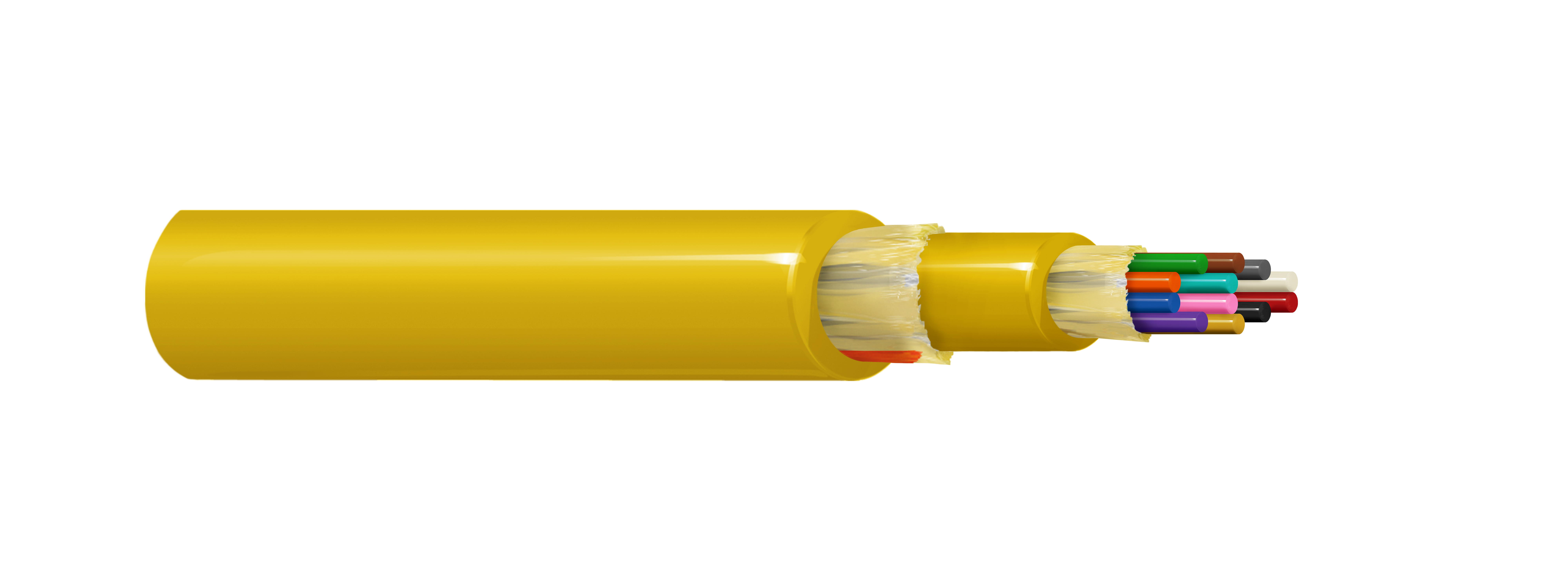 FIBM012P0