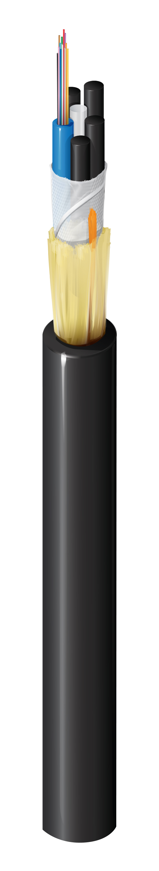 FD1L012RG