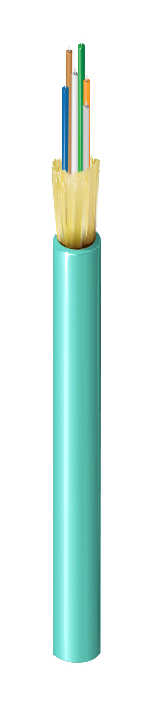 FI3D006R9