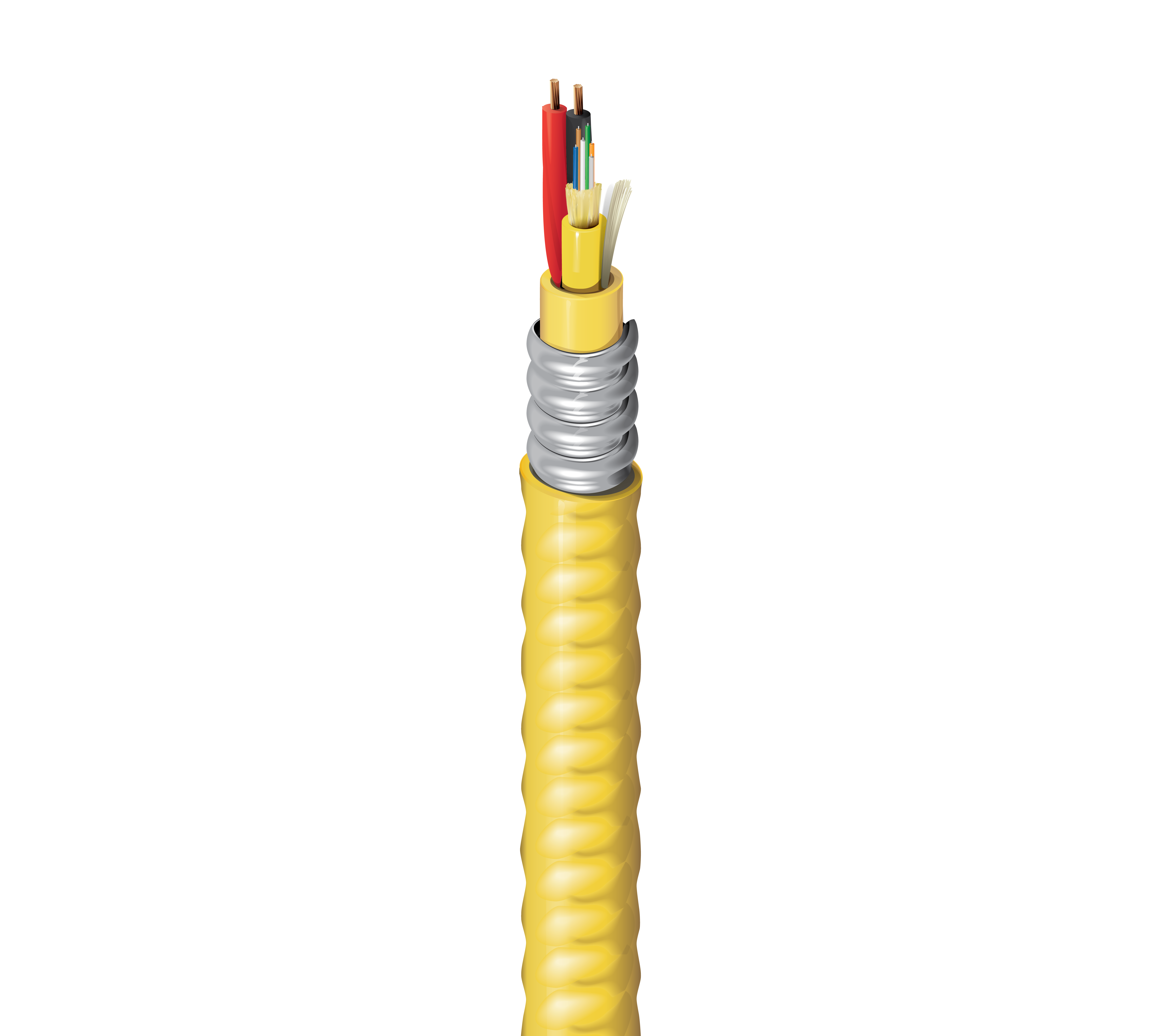 HISD0060214FJ