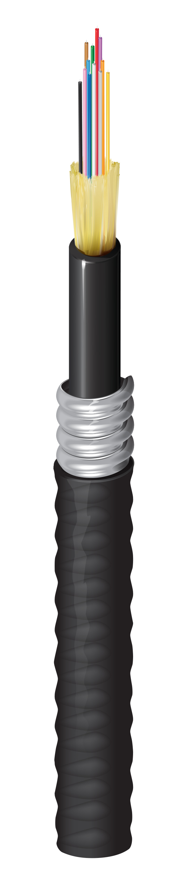 FD2D012A9