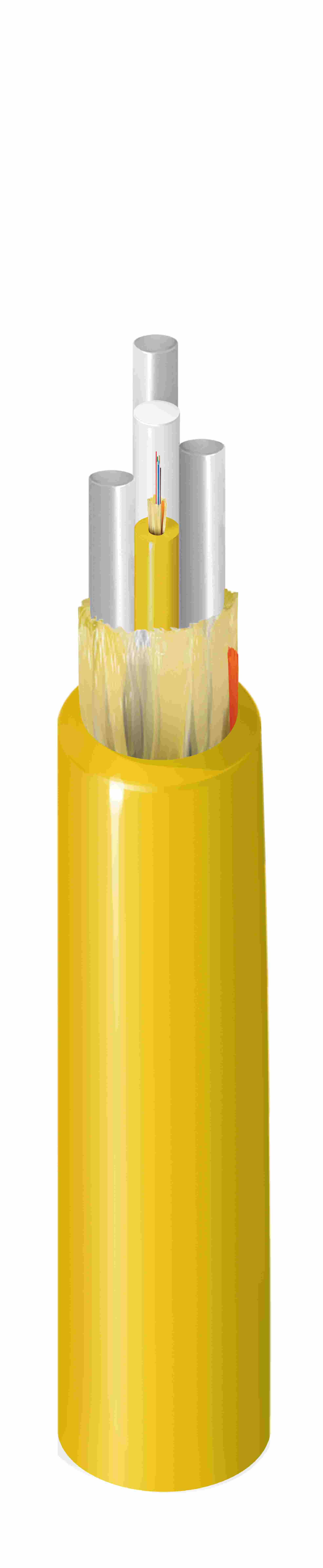 FIBM008P8