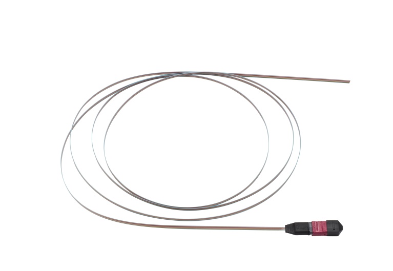 FT4MM250PS01