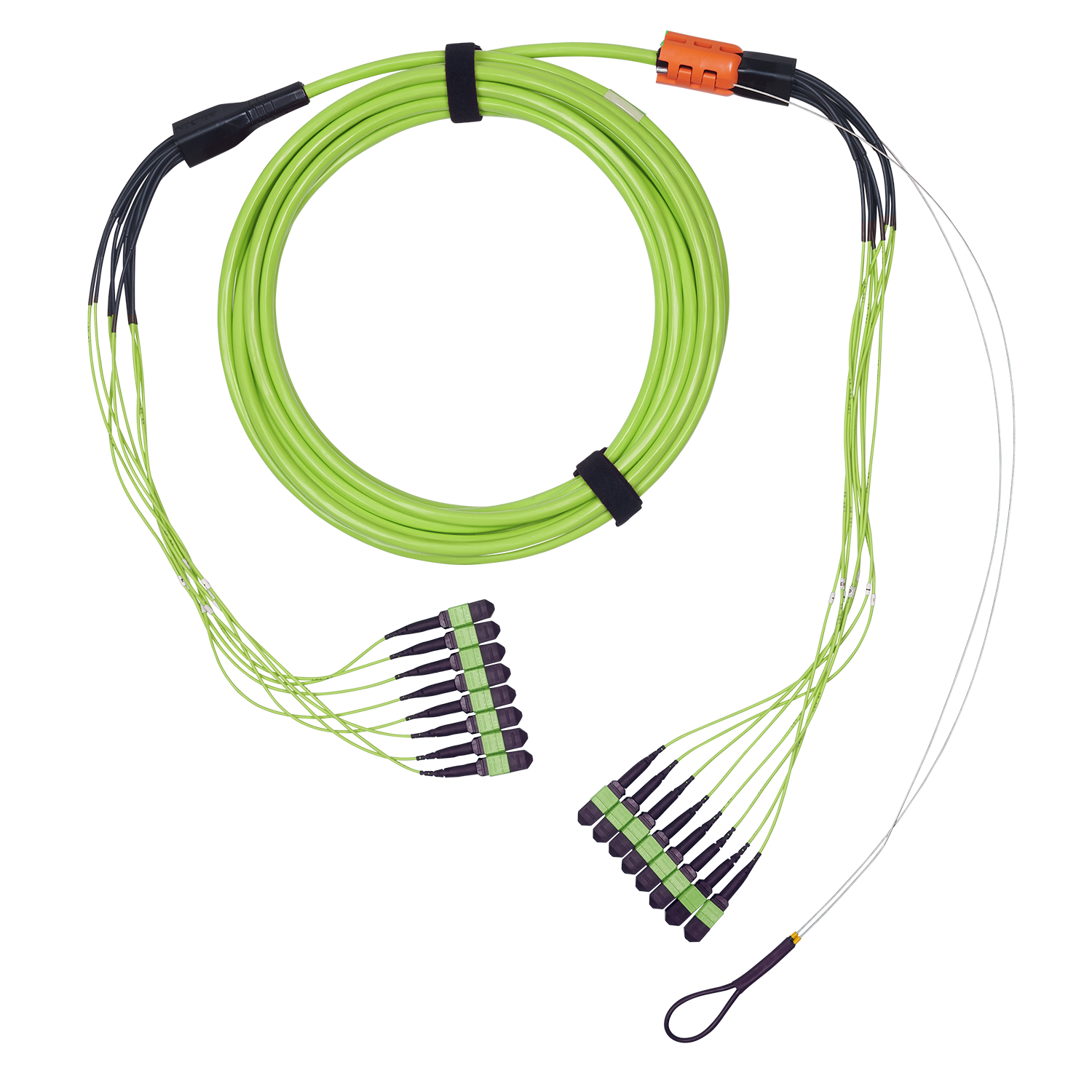 FM5MMB8010MPUEL