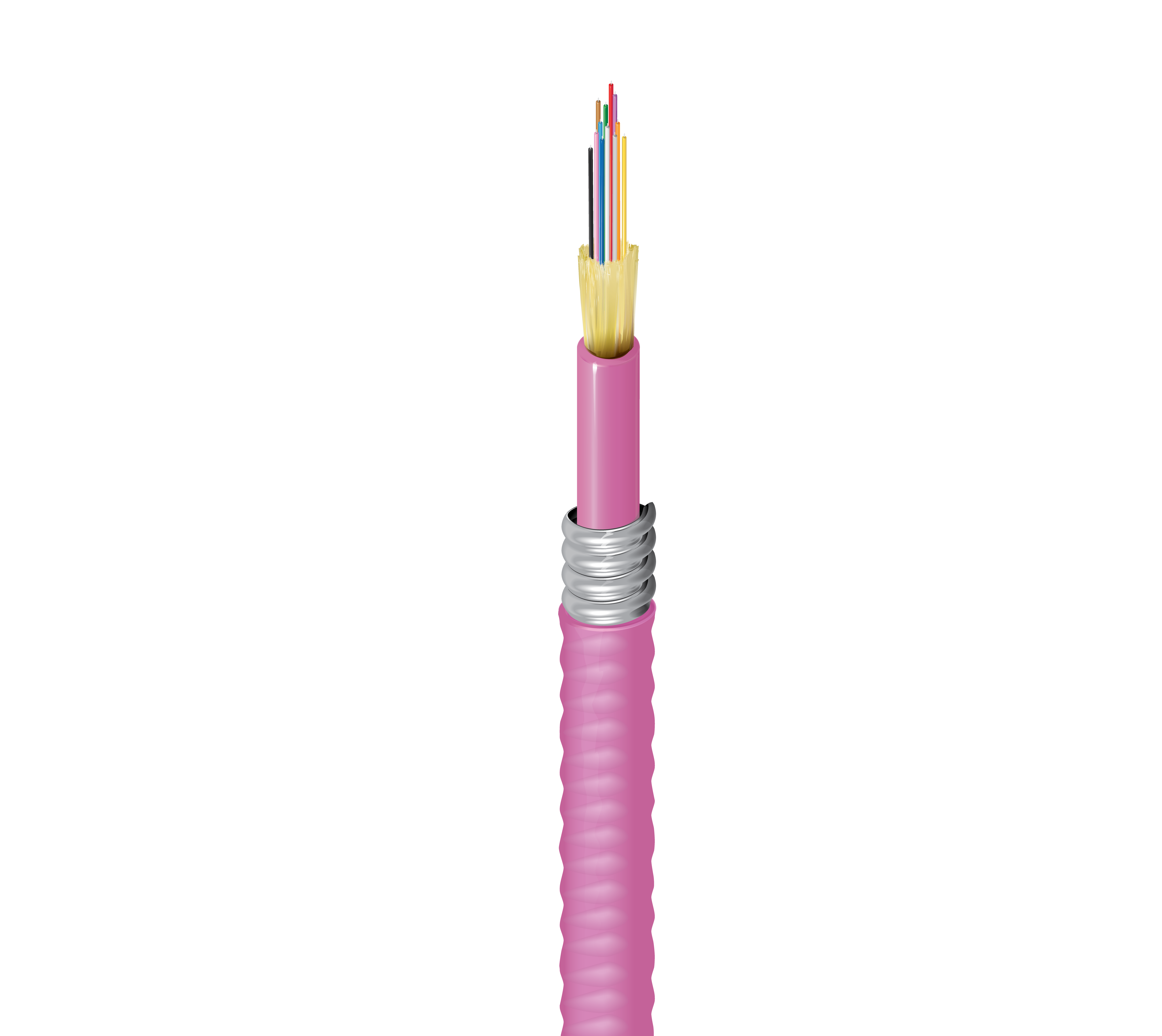 FD4D012A9E