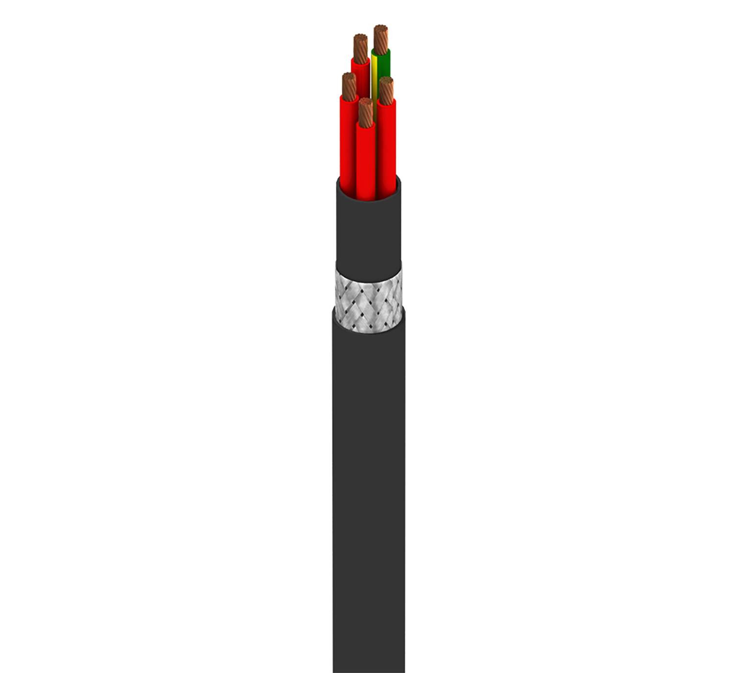 77805WS