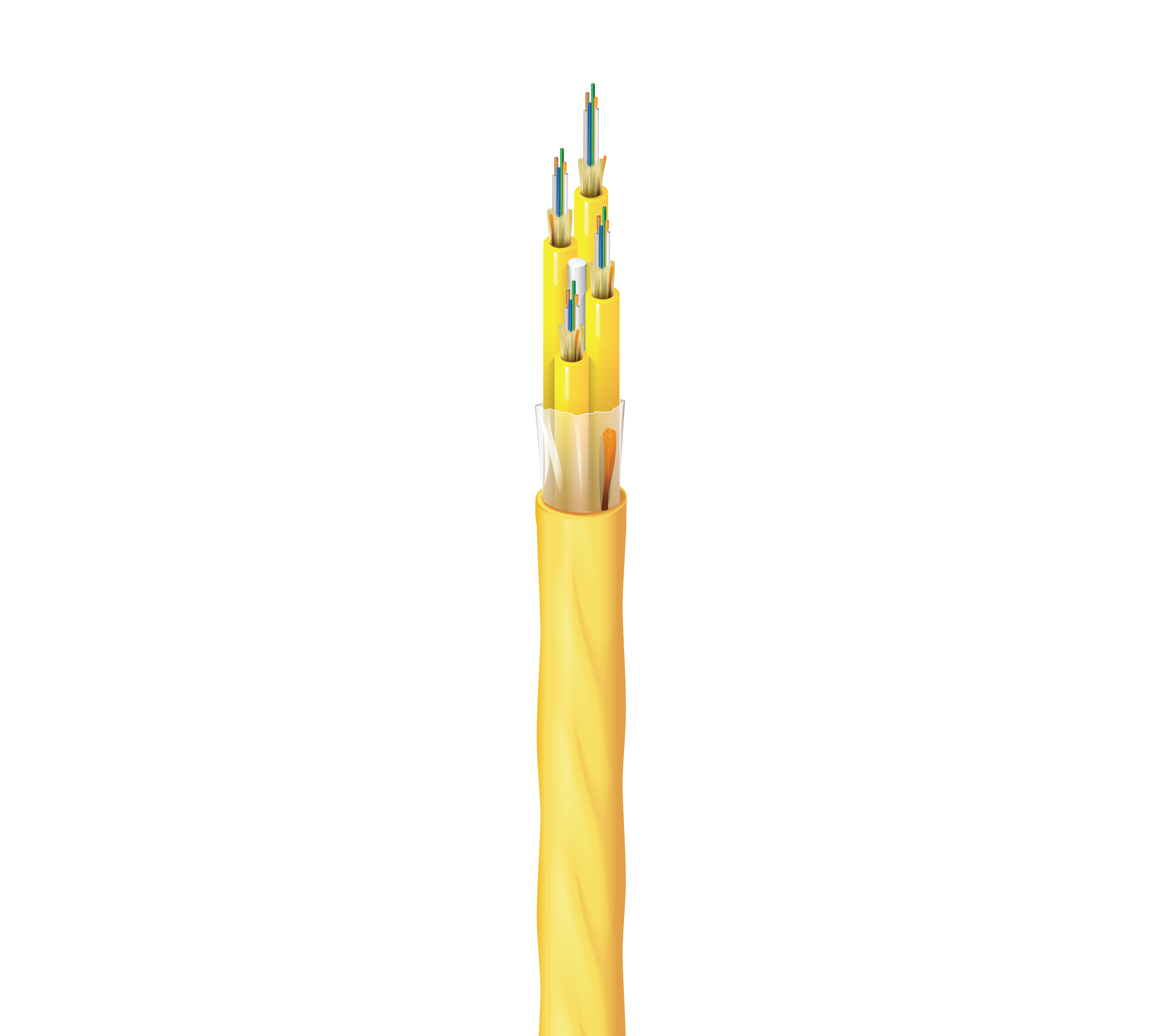 FISD024RJ