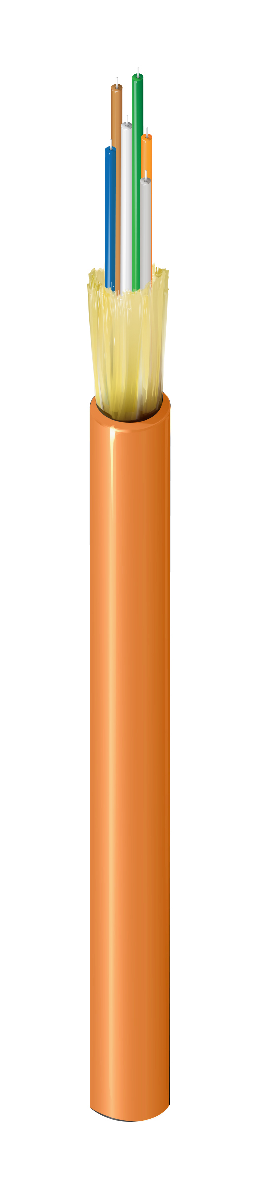 FI1D004R9