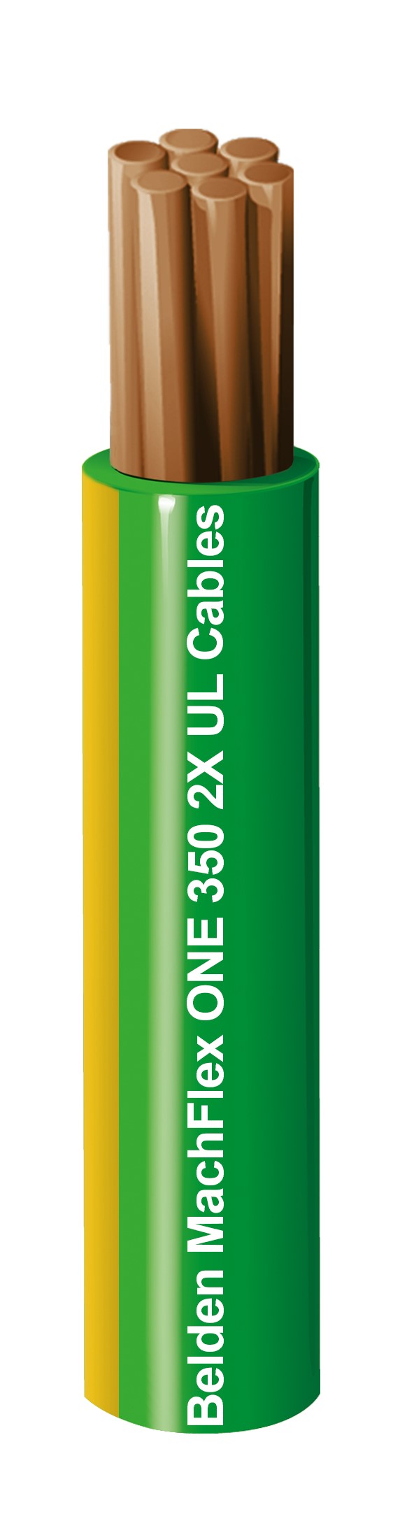 HKX31.0