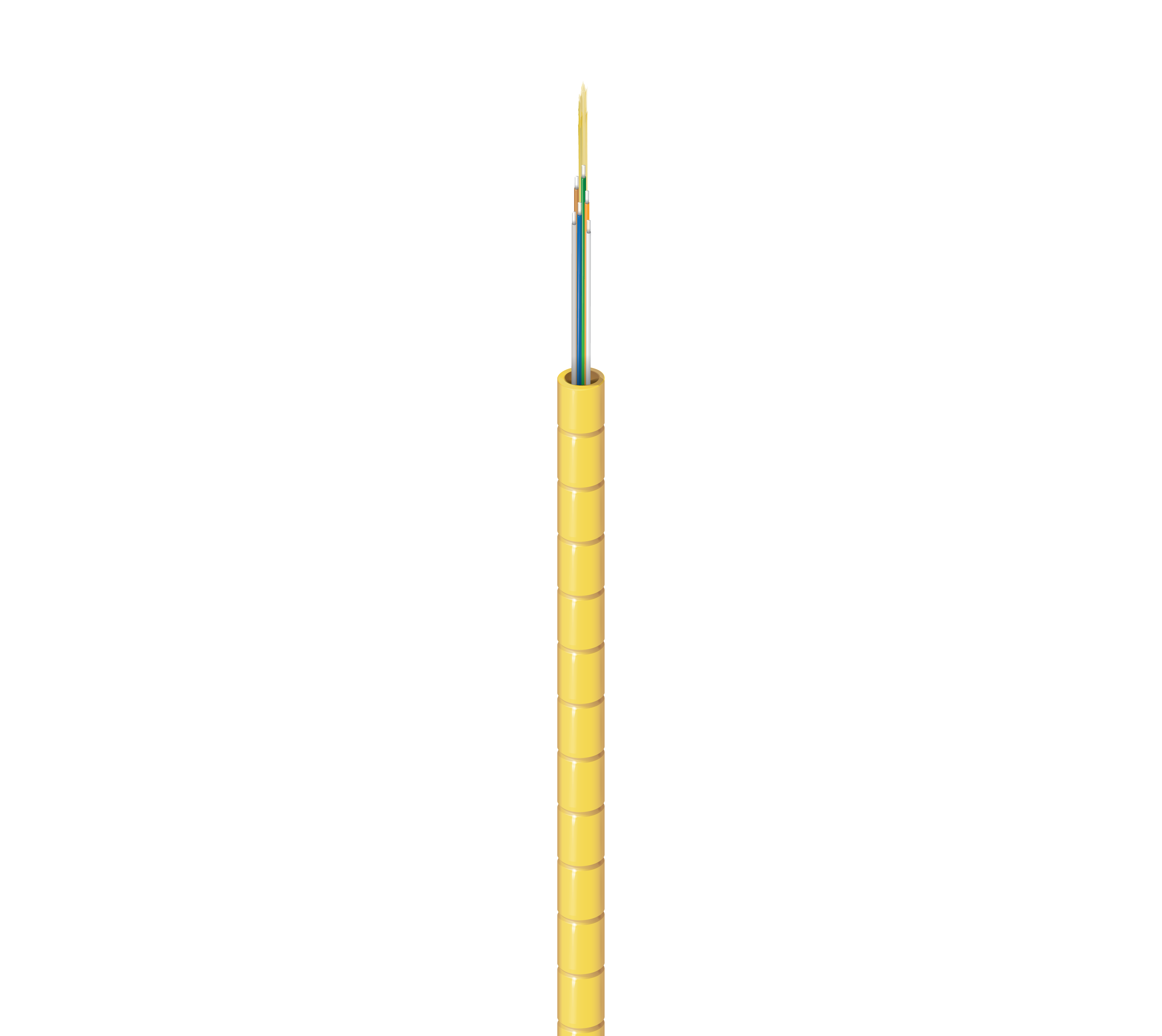 FISX006W0