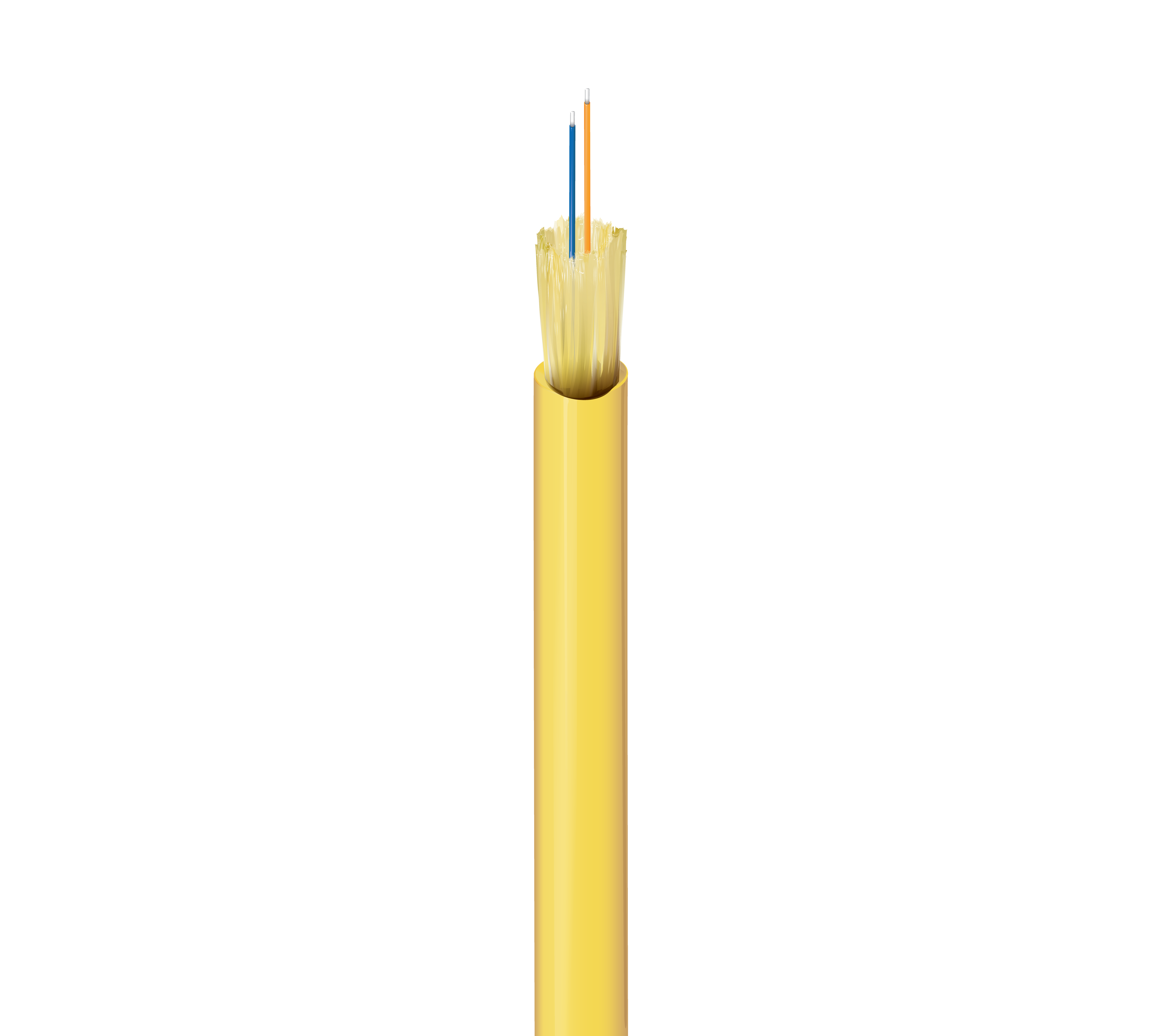 FISI002P0