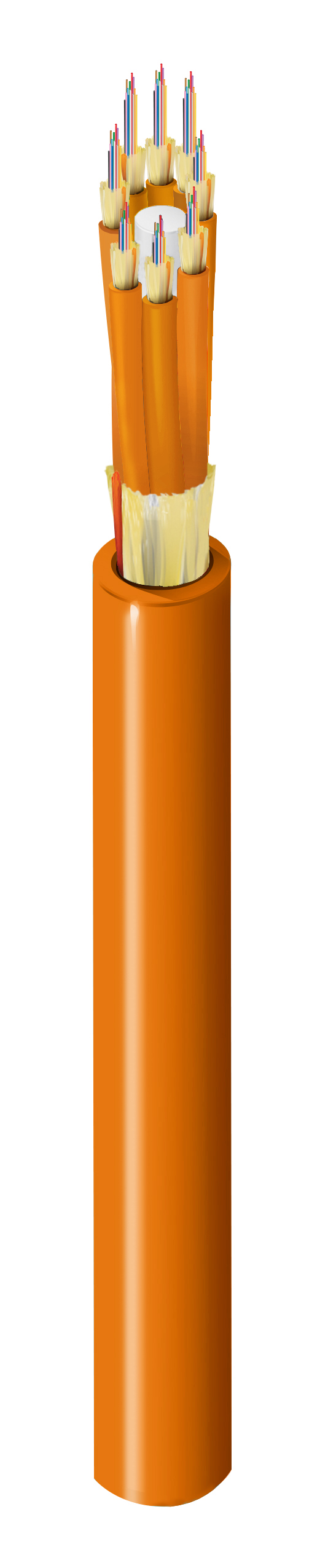 FI1M096P1