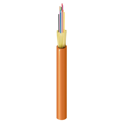 FI1I012P1