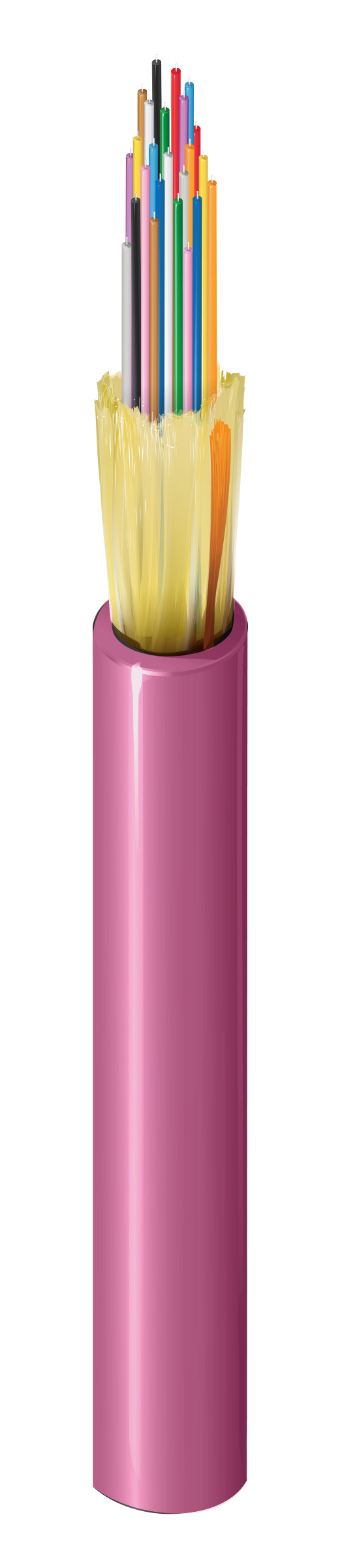 FI4D024P9