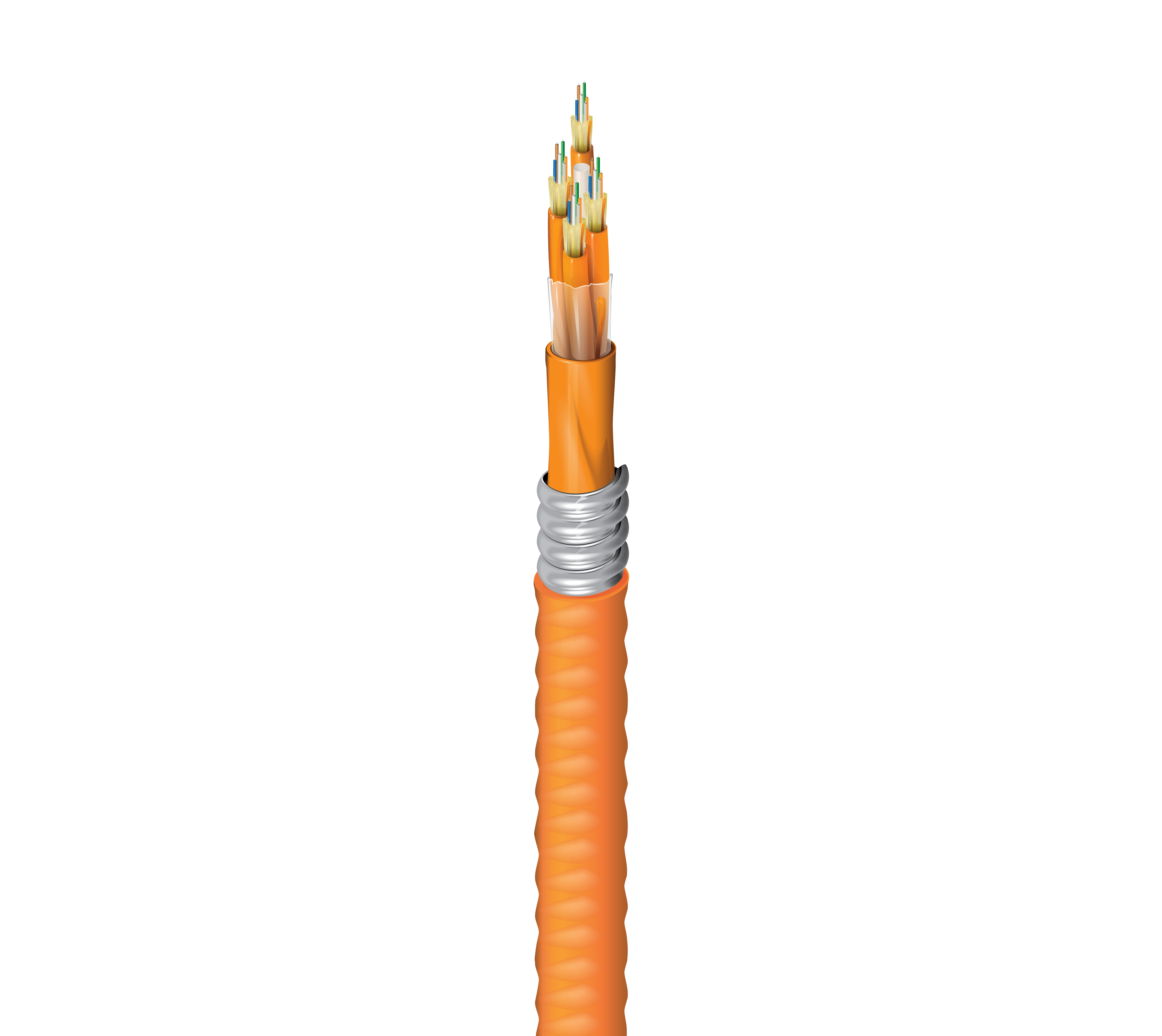 FI2D024FJ