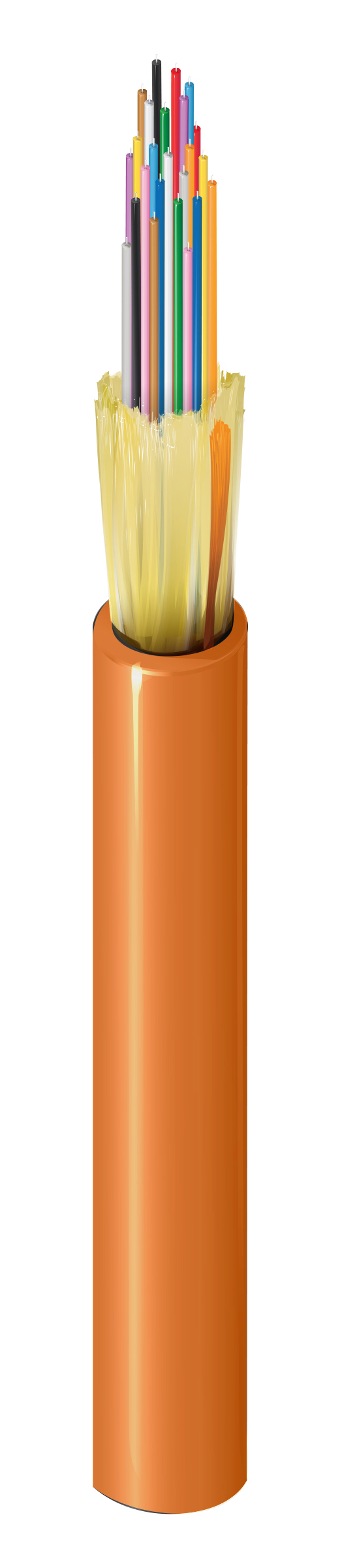 FI2D024R9