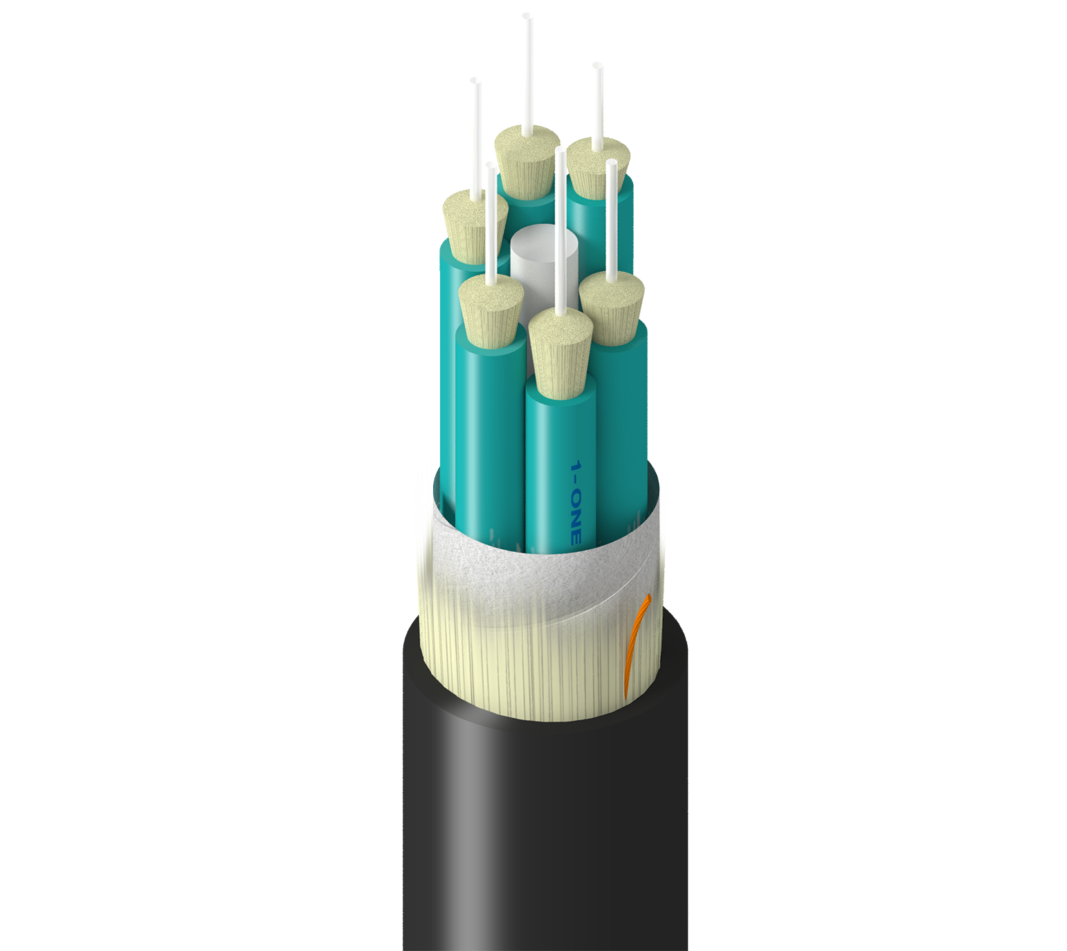 TF-3BB-006-RN5