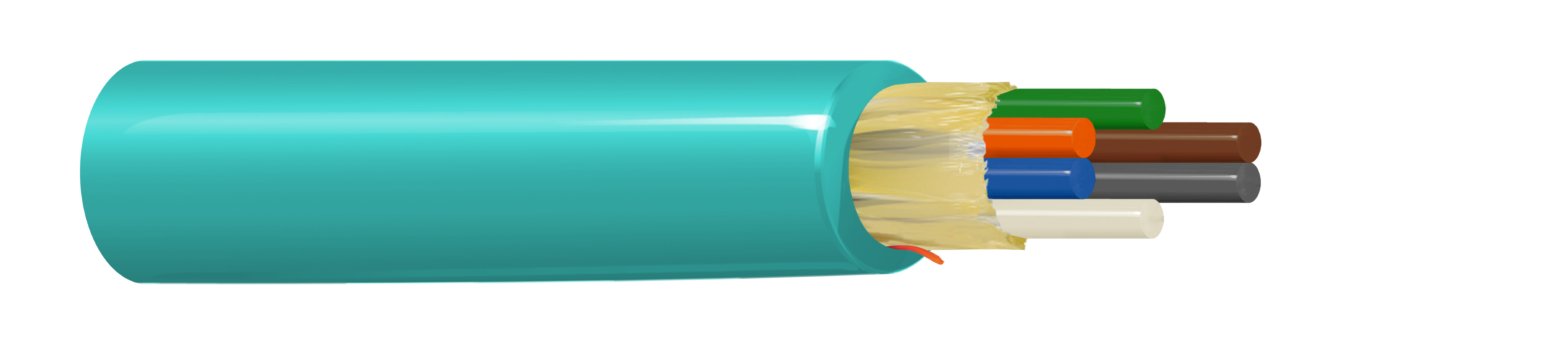 FI3D006P9ABK