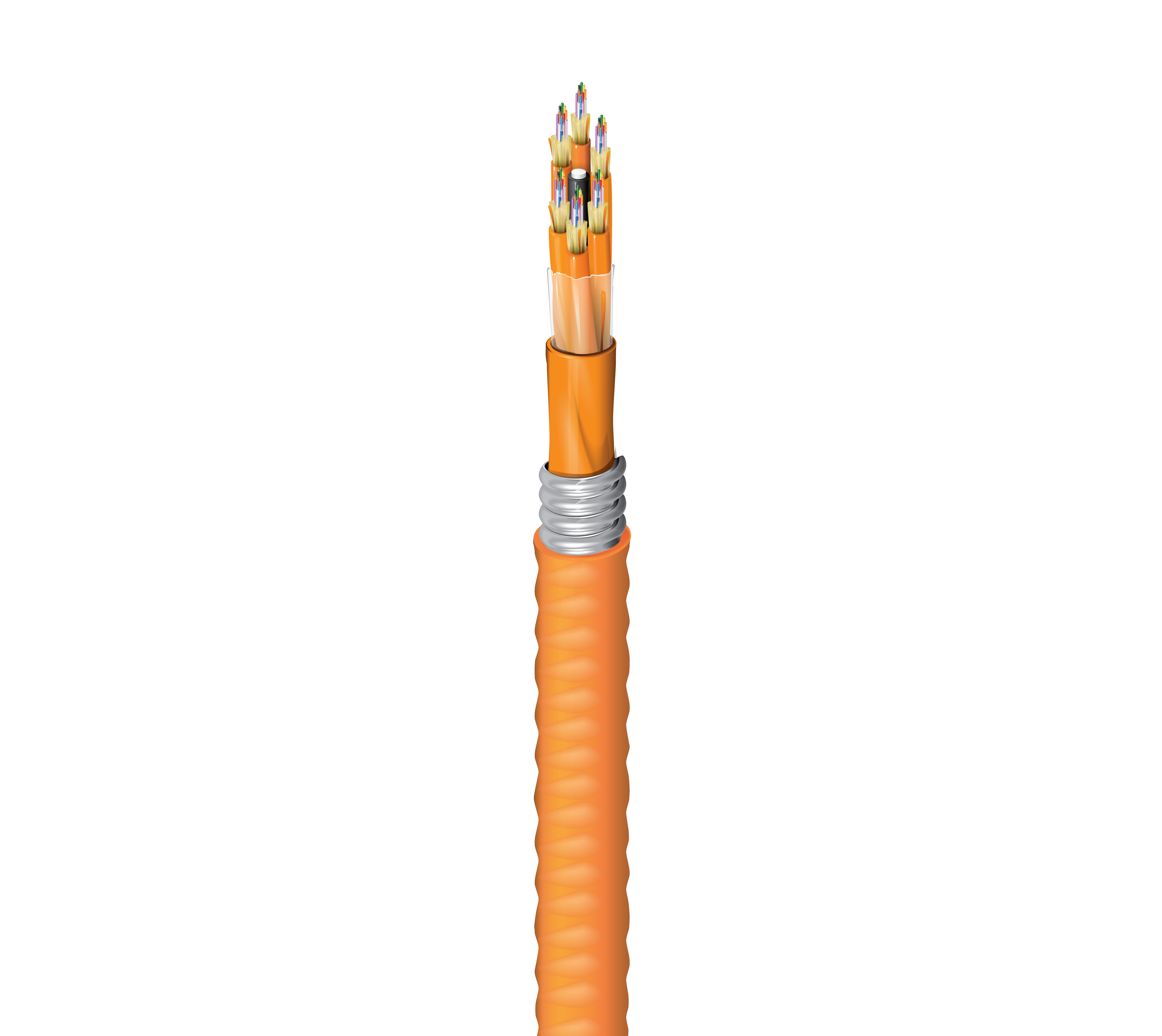 FI1D072FK