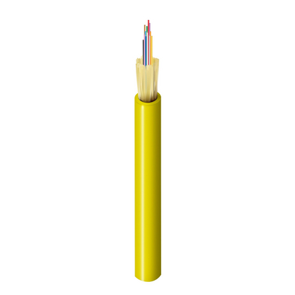 FIBI016P5