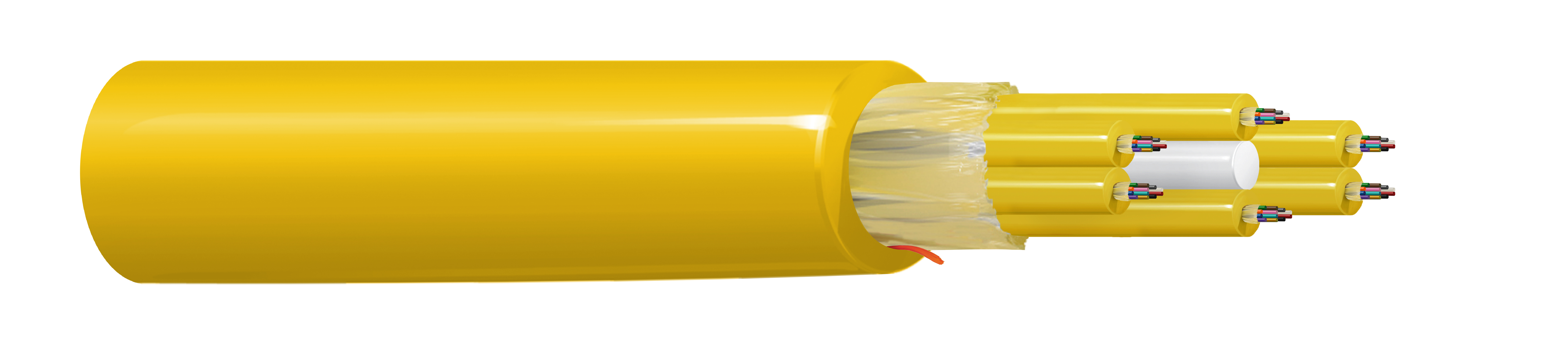 FIBM072P1