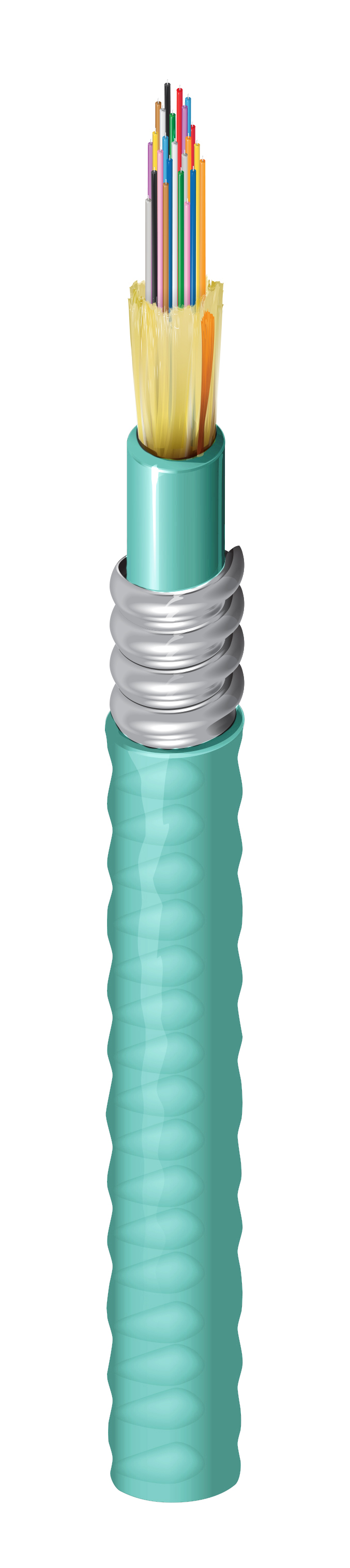 FI3D024A9