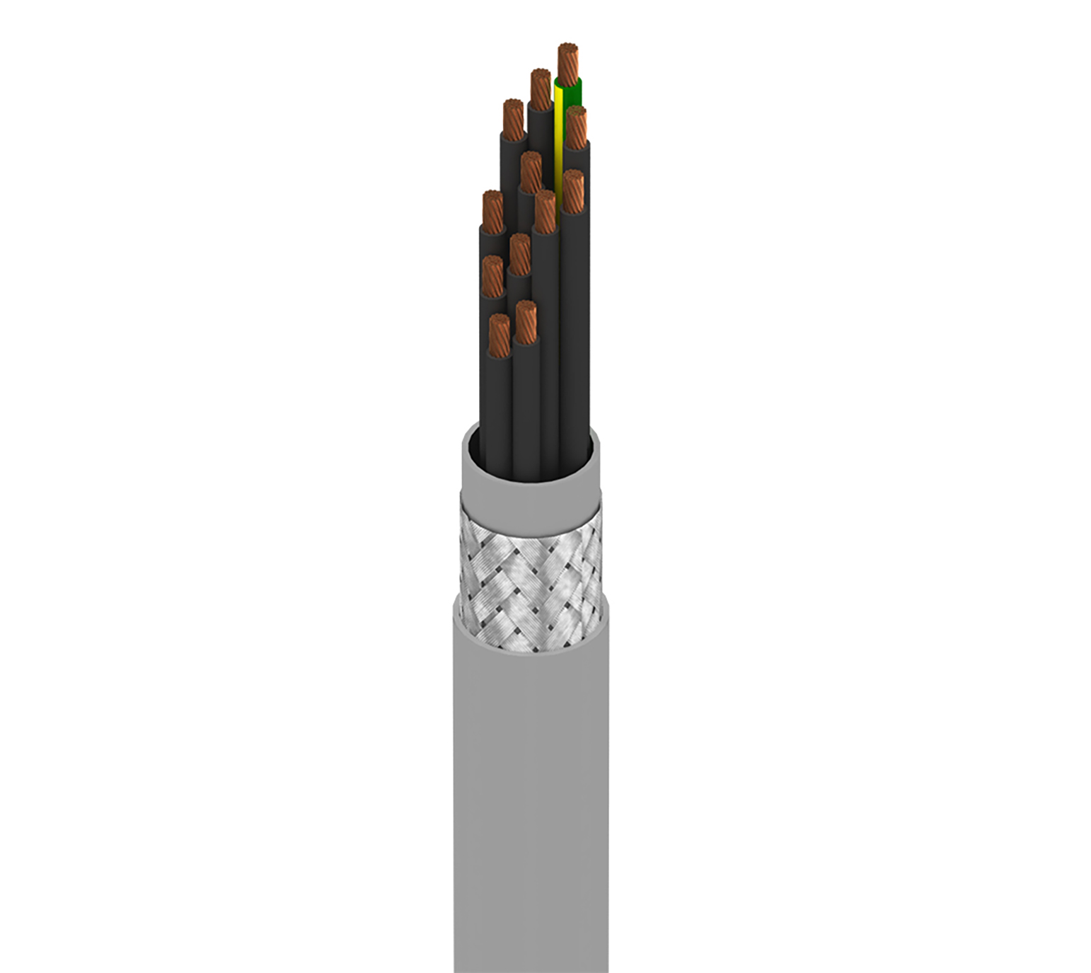 73812WS