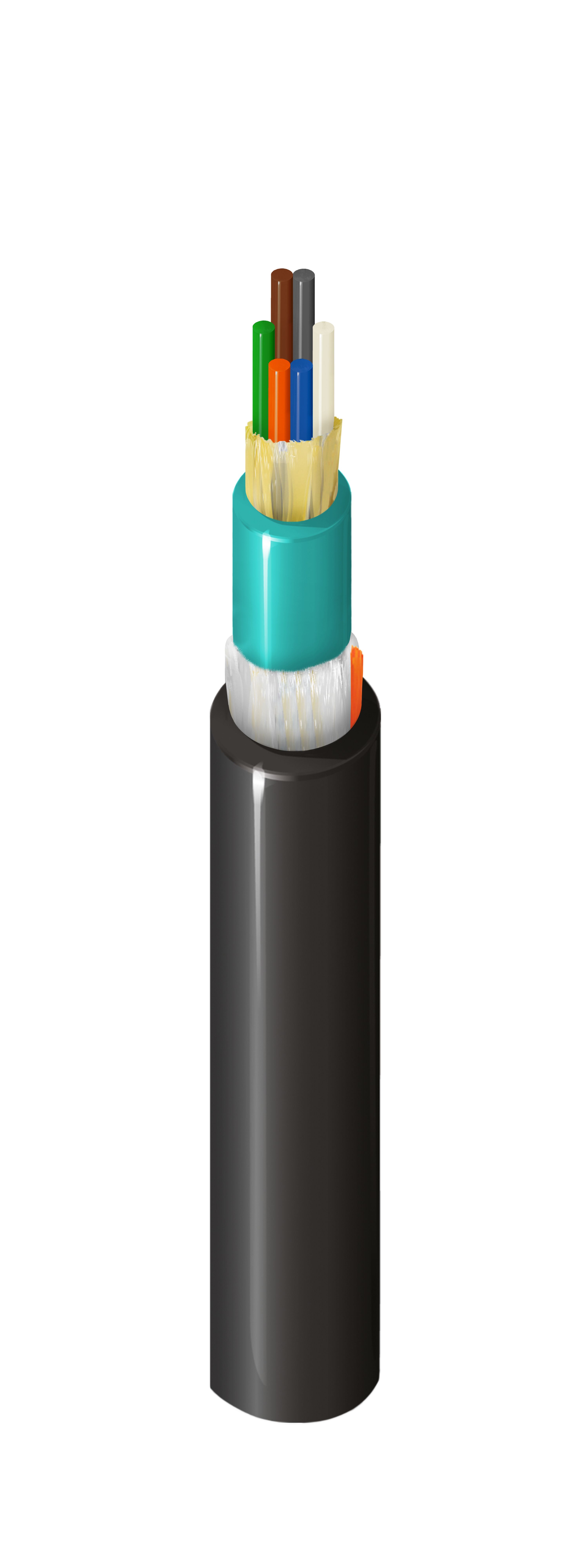 FD4M006P03