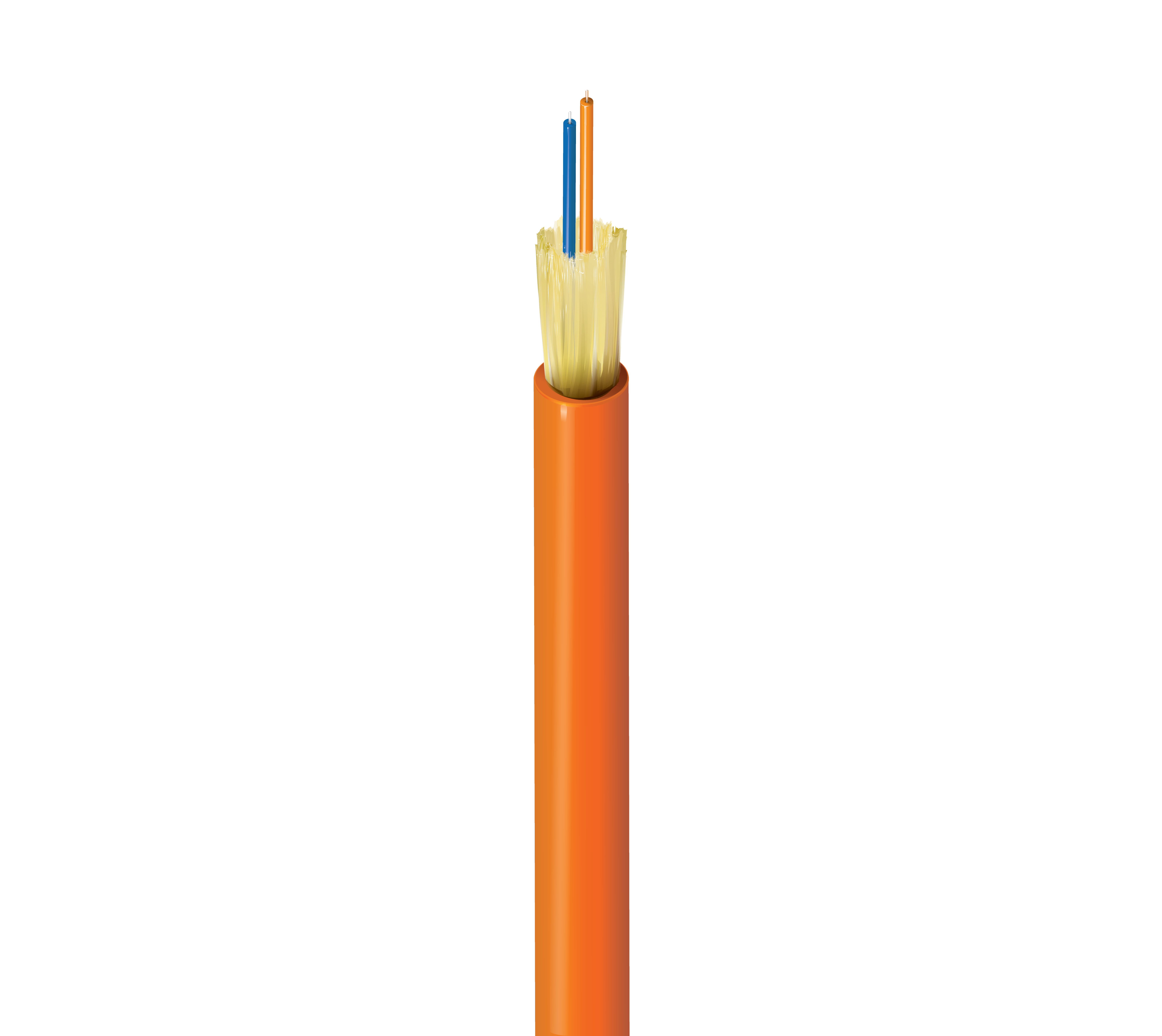 FI2D002P9