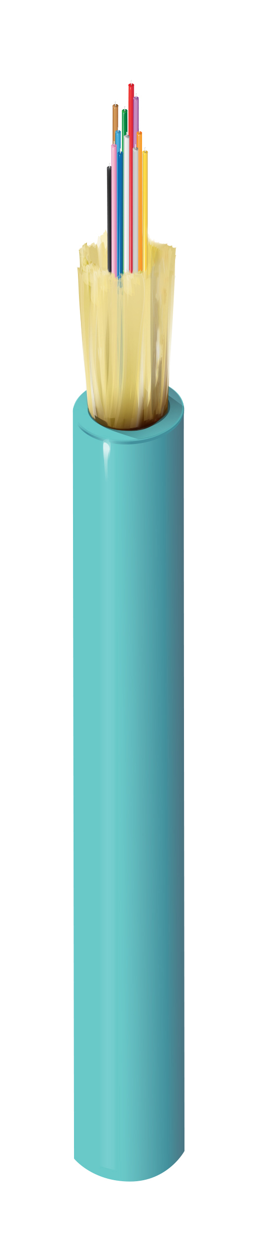 FI3M012P2