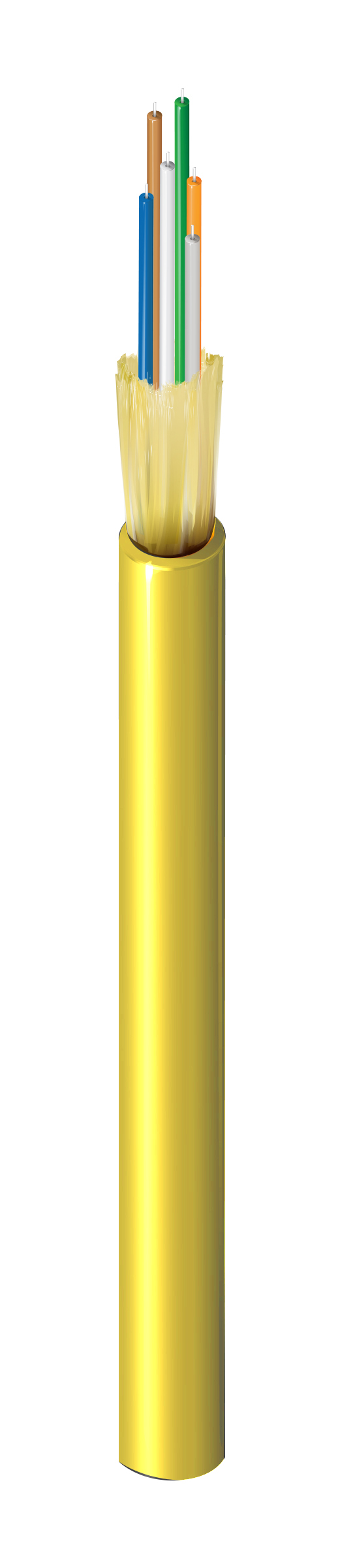 FISD006P9