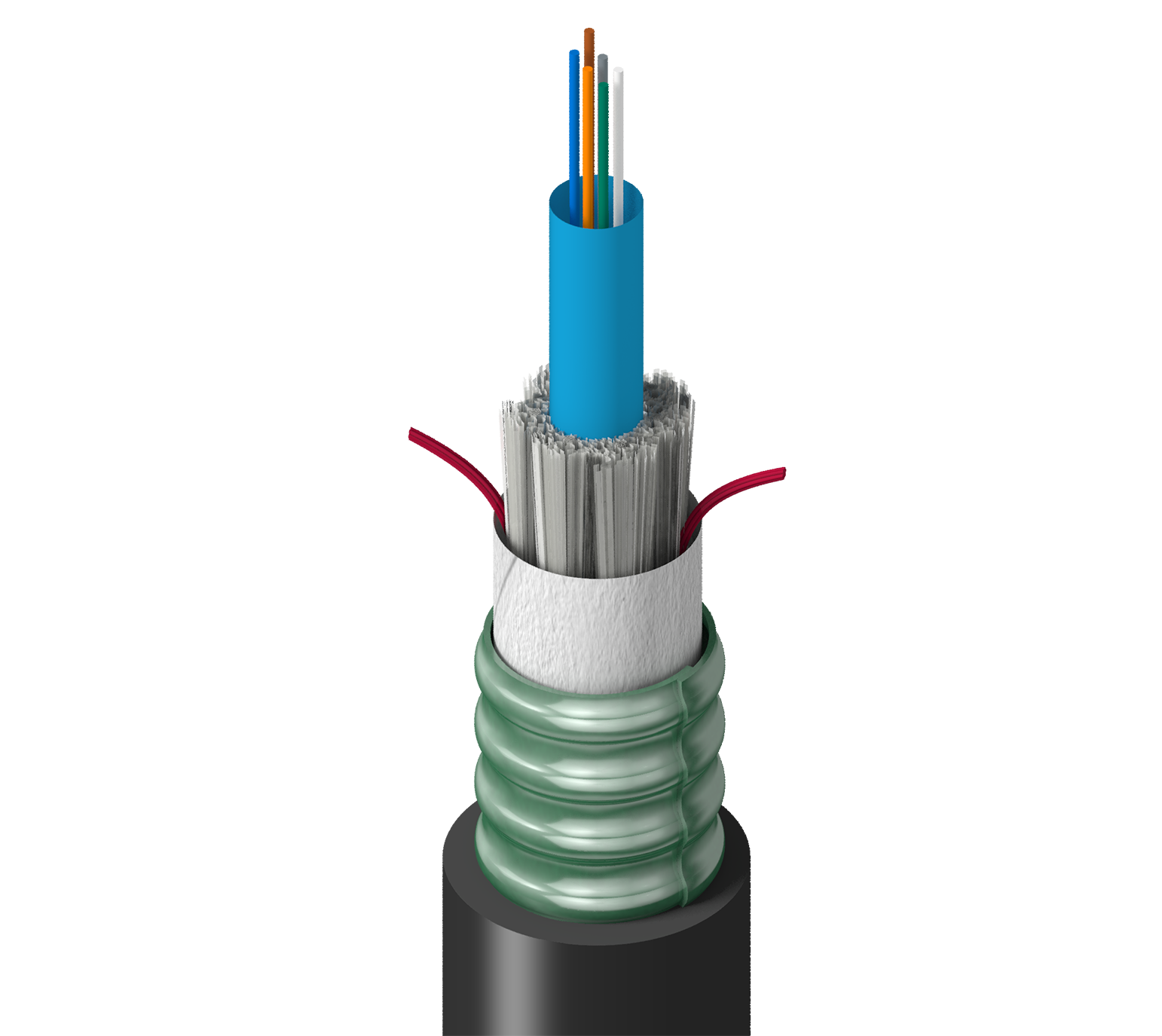 TR-SCN-006-NSU