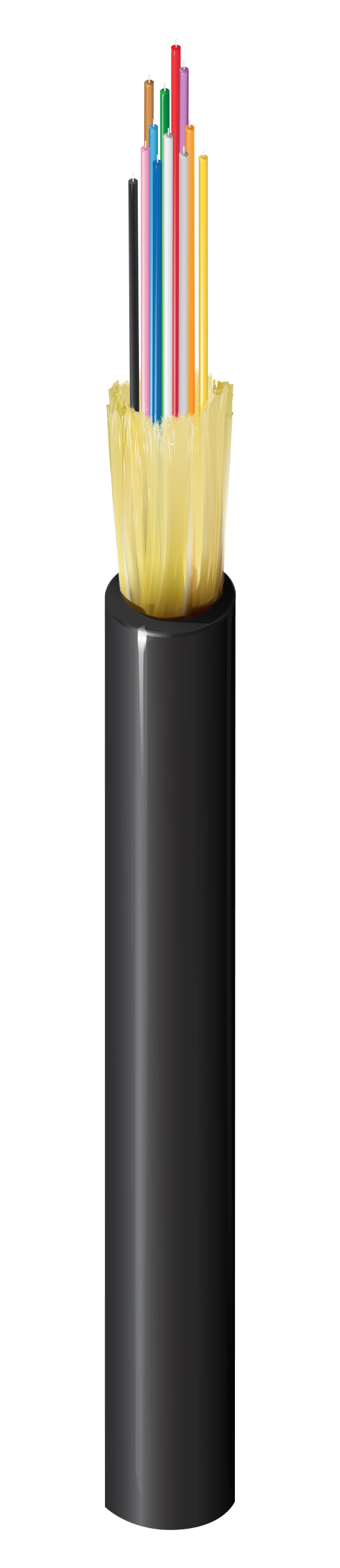 FD1D012P9