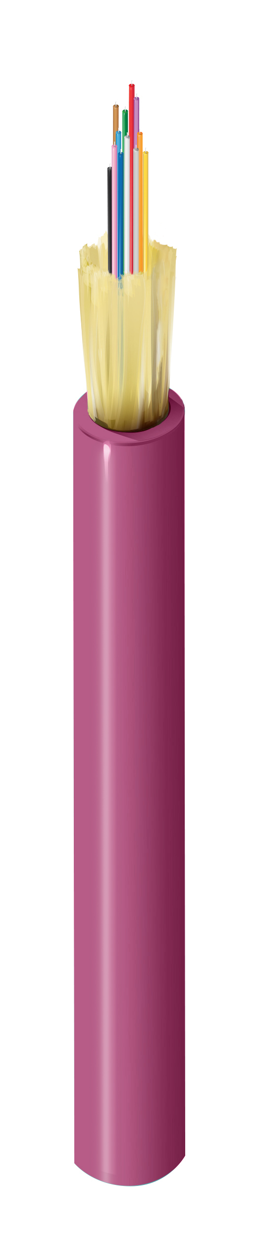 FI4M012P2