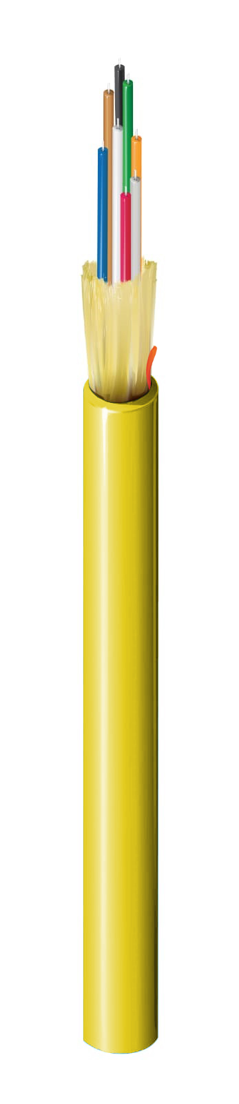 FISD008R9