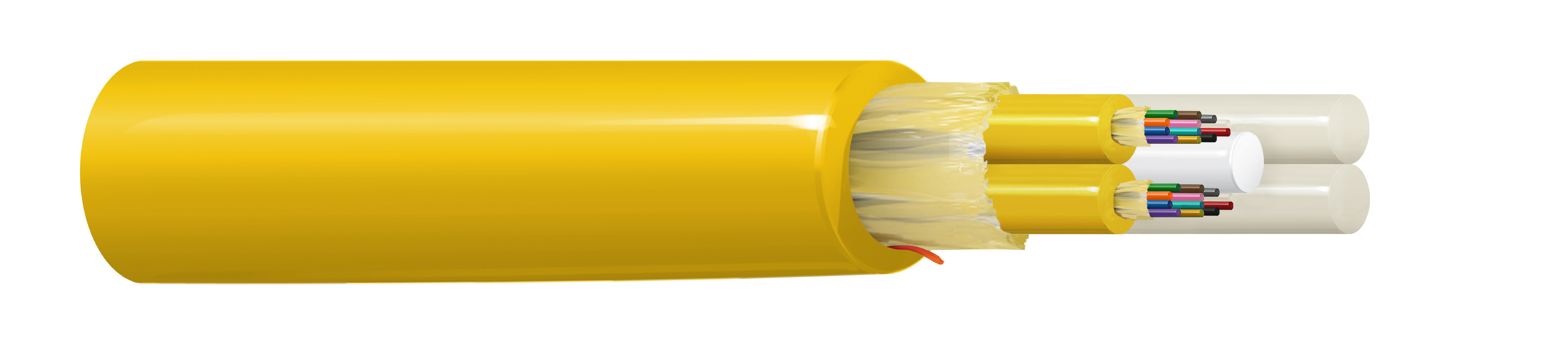 FIBM024P1