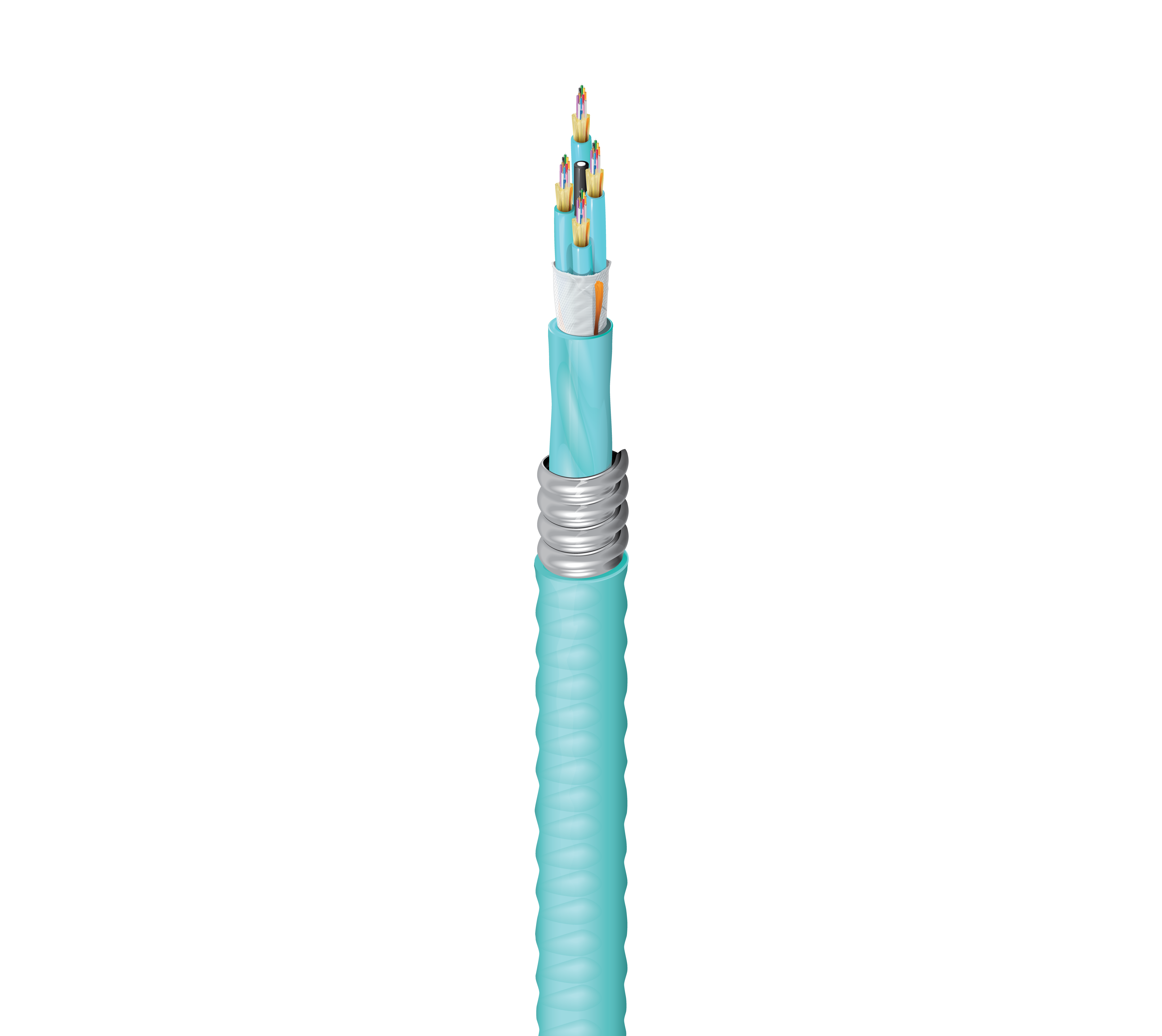 FI4D048AKA