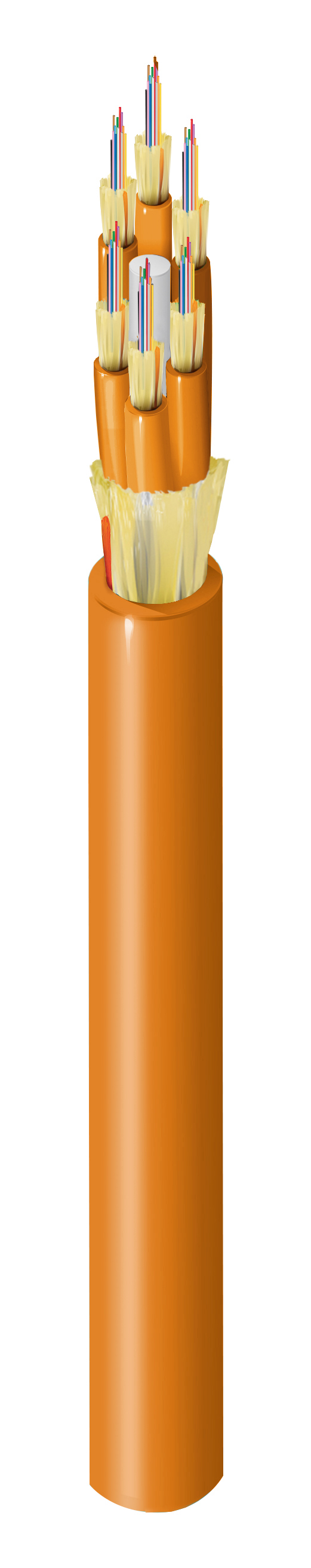 FI1M072P1