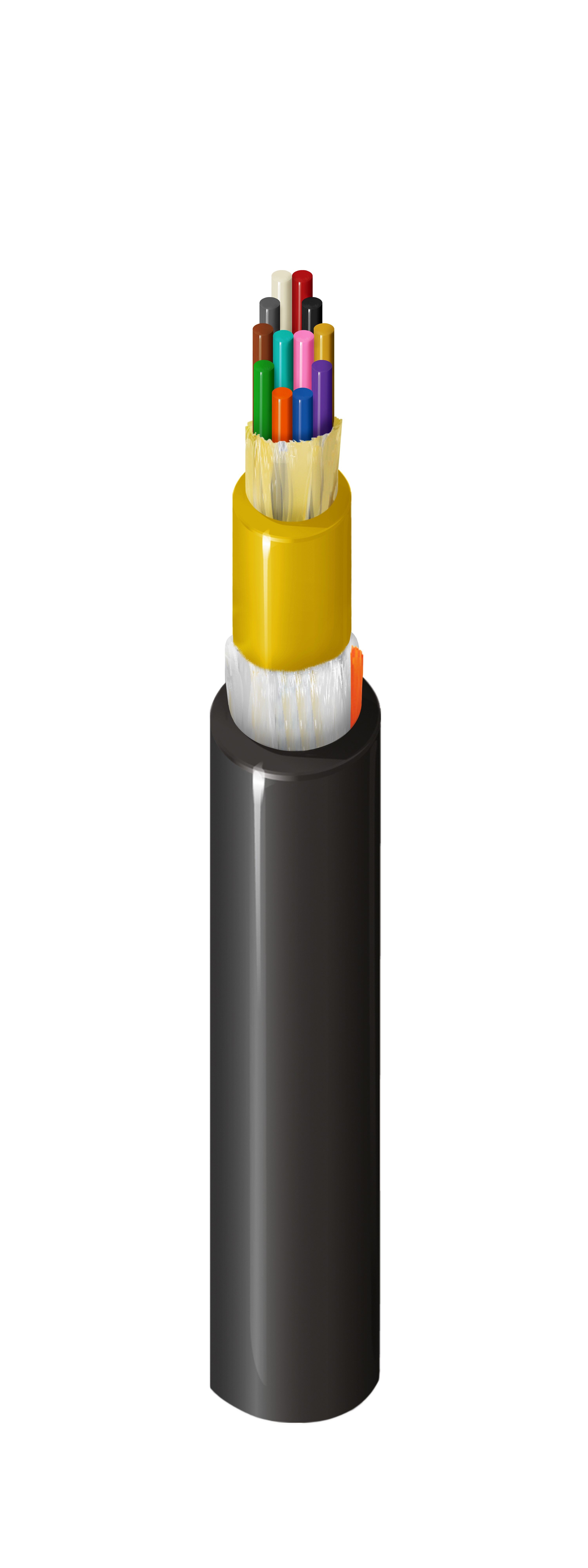FDSM012P0