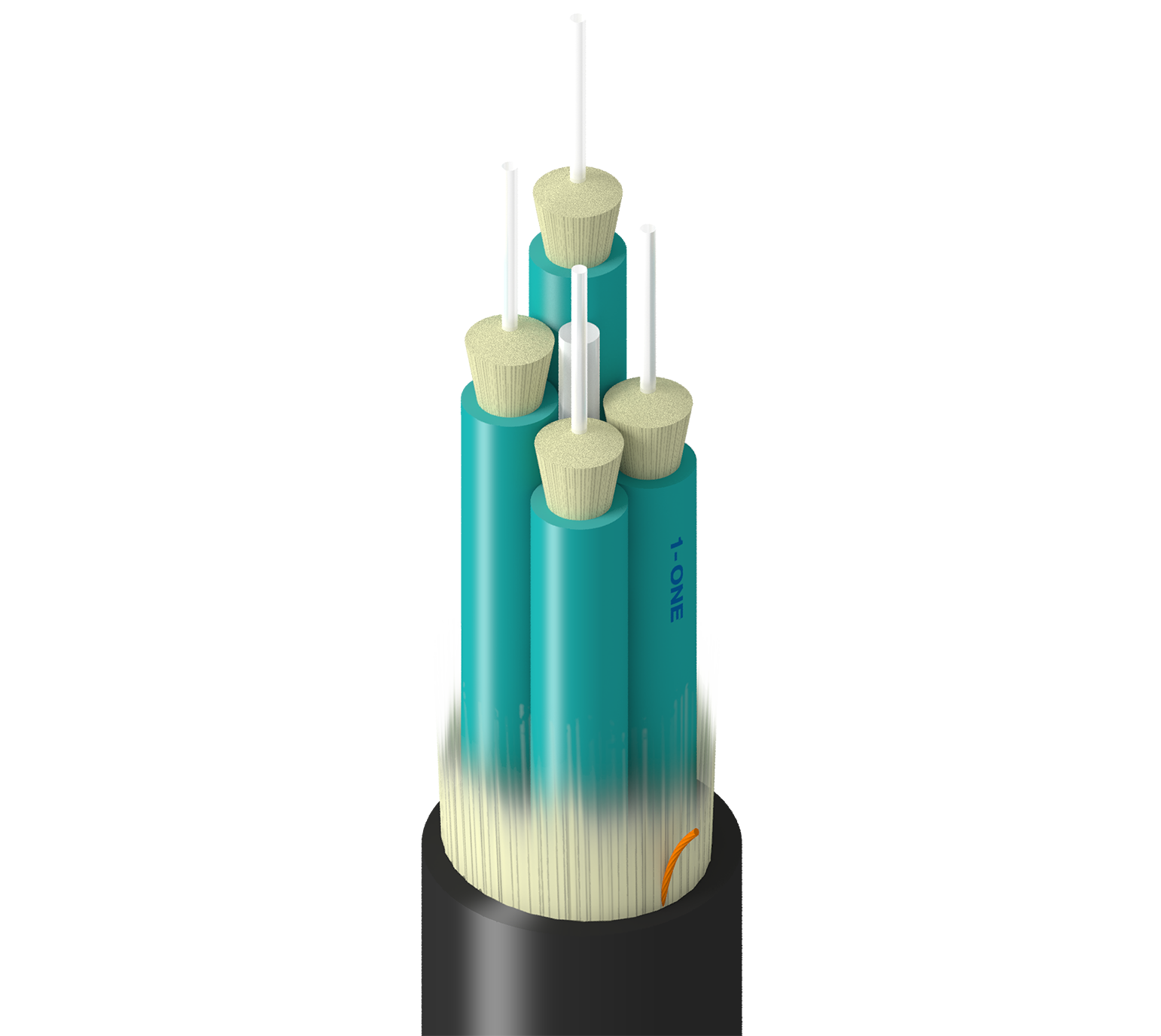 TF-3BB-004-RN5