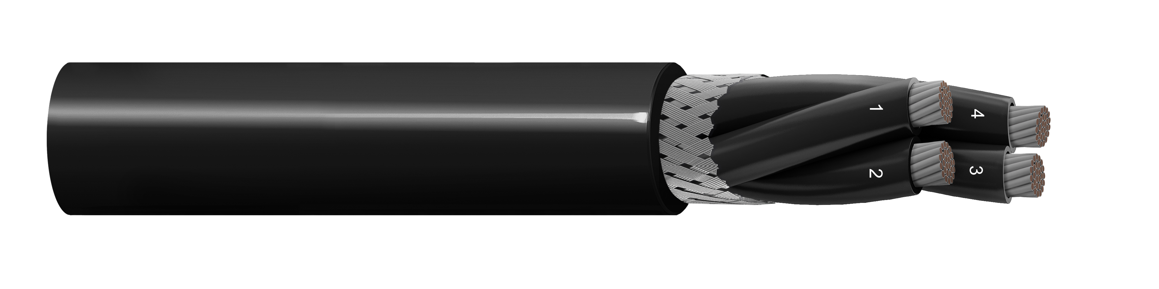 RMM4C1.5