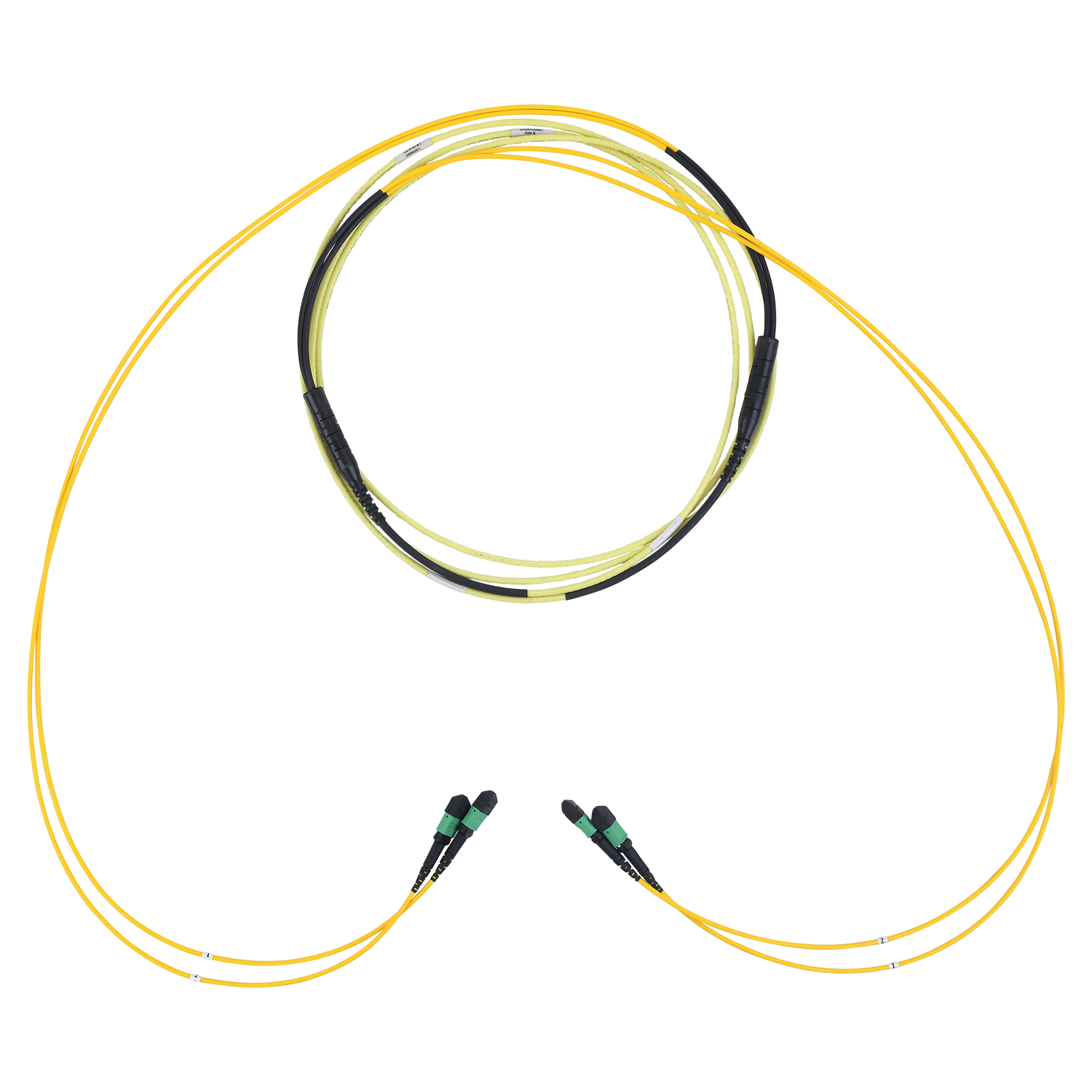 FYSCMMFMMFB010M