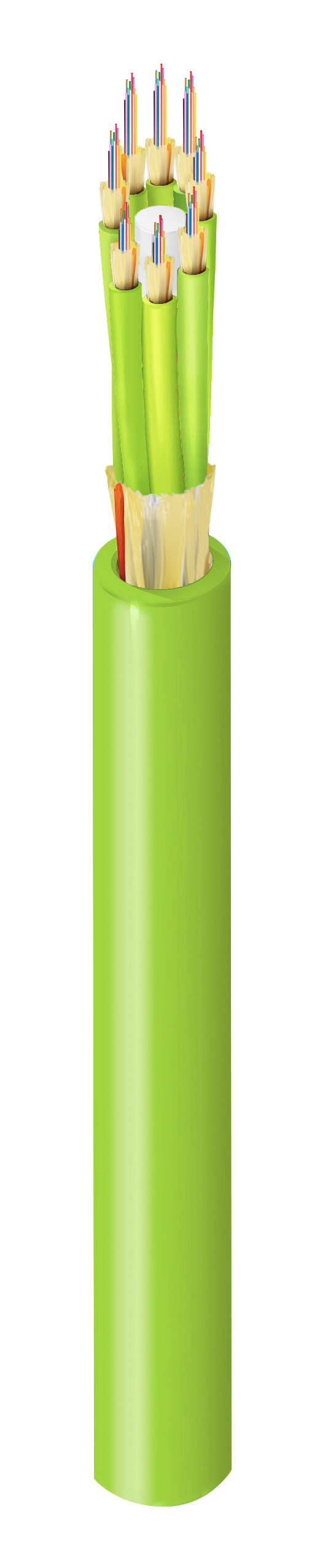 FI5M096P1
