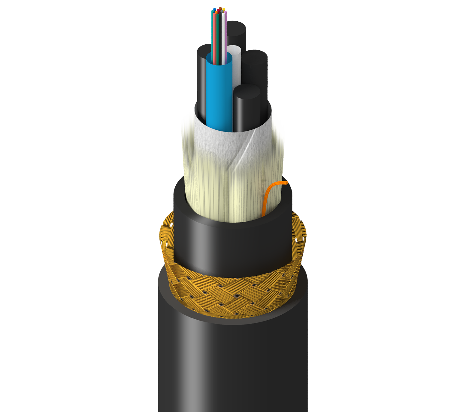 TM-1LG-012-HBA