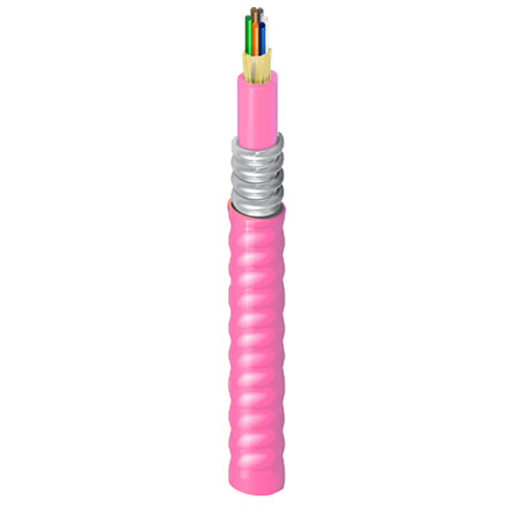 FI4D006F9